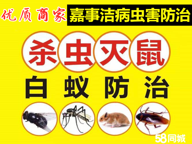 灭鼠杀虫